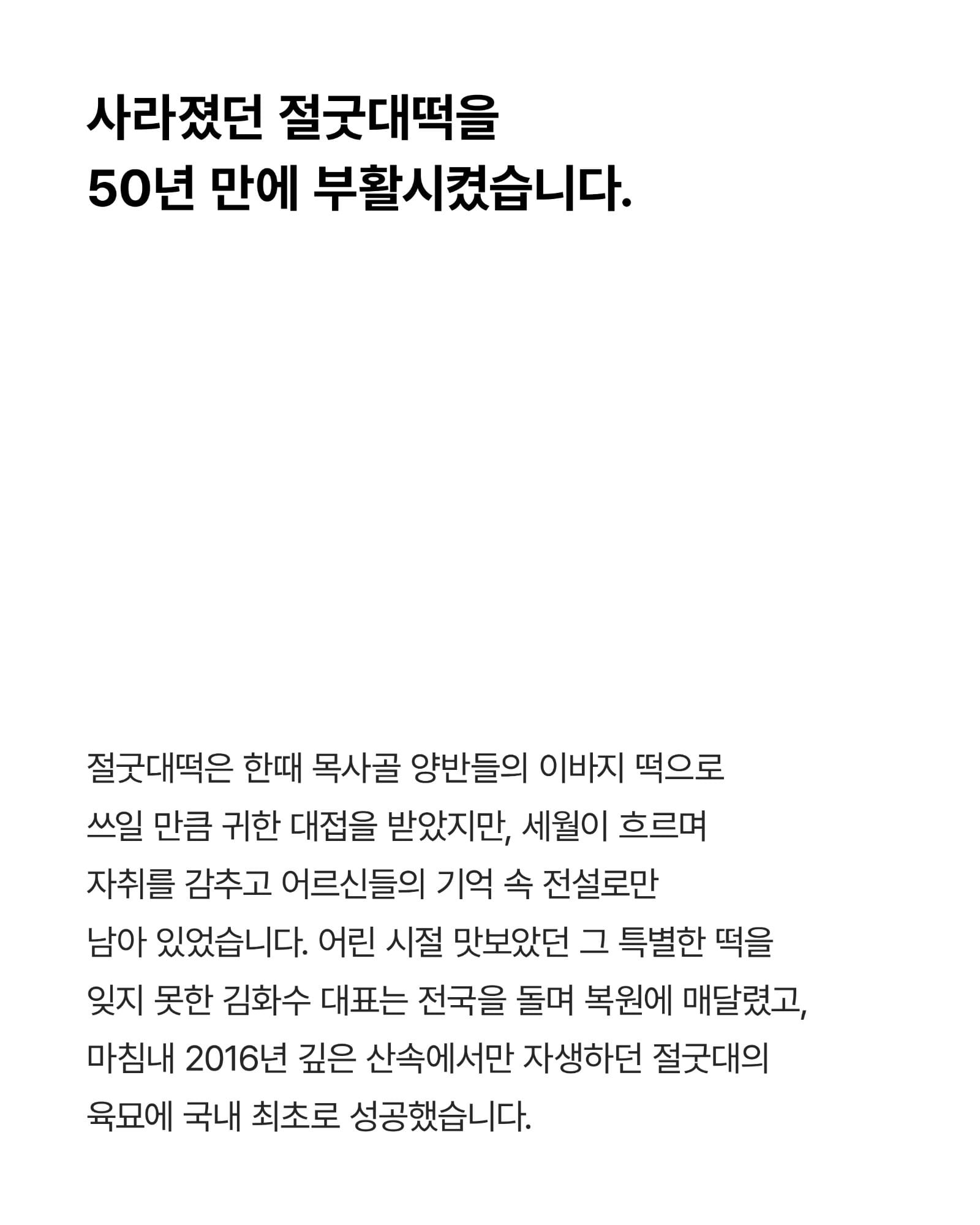 전남관광재단이 소개한 절굿대달토끼 사진 2